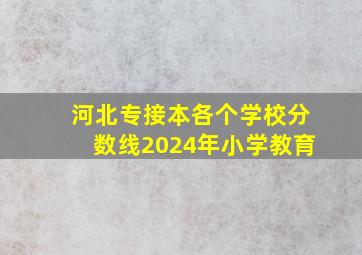 河北专接本各个学校分数线2024年小学教育