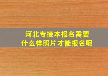 河北专接本报名需要什么样照片才能报名呢