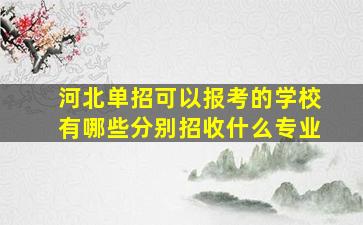 河北单招可以报考的学校有哪些分别招收什么专业