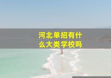 河北单招有什么大类学校吗