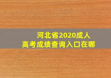 河北省2020成人高考成绩查询入口在哪