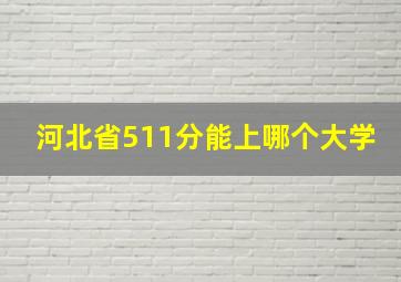 河北省511分能上哪个大学