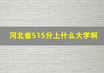 河北省515分上什么大学啊