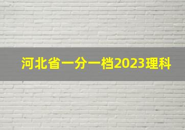 河北省一分一档2023理科