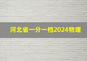 河北省一分一档2024物理