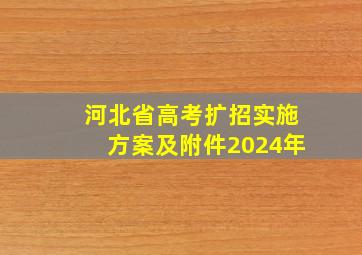 河北省高考扩招实施方案及附件2024年