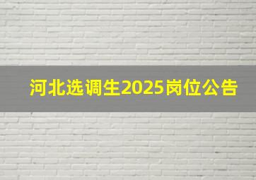 河北选调生2025岗位公告