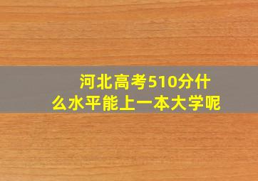 河北高考510分什么水平能上一本大学呢