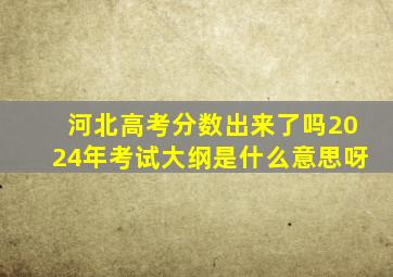 河北高考分数出来了吗2024年考试大纲是什么意思呀