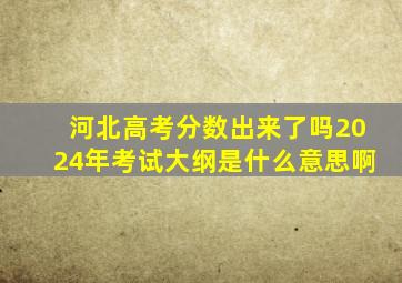 河北高考分数出来了吗2024年考试大纲是什么意思啊