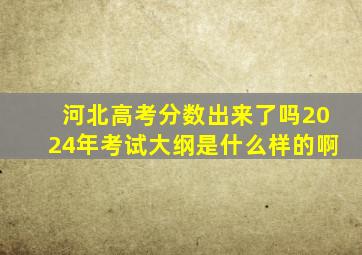 河北高考分数出来了吗2024年考试大纲是什么样的啊