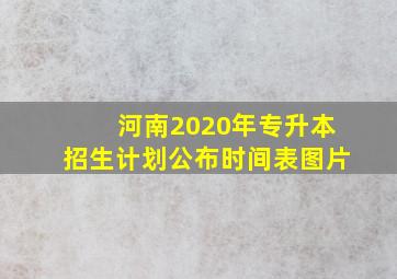 河南2020年专升本招生计划公布时间表图片