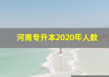 河南专升本2020年人数