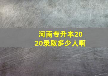 河南专升本2020录取多少人啊