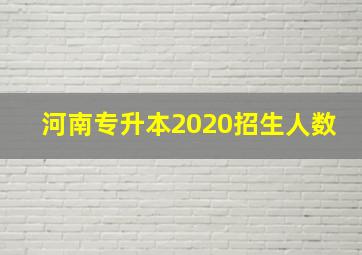 河南专升本2020招生人数