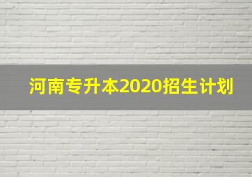 河南专升本2020招生计划