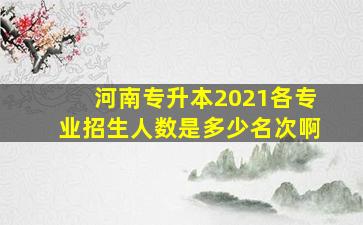 河南专升本2021各专业招生人数是多少名次啊