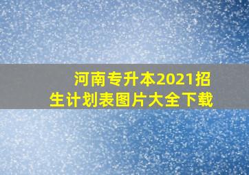 河南专升本2021招生计划表图片大全下载