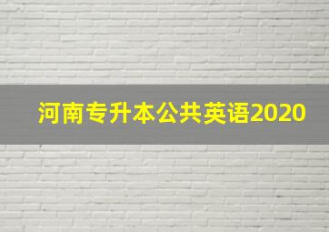 河南专升本公共英语2020