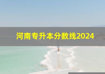 河南专升本分数线2024