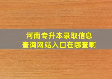 河南专升本录取信息查询网站入口在哪查啊