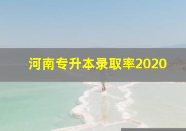 河南专升本录取率2020