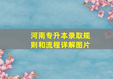 河南专升本录取规则和流程详解图片