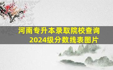 河南专升本录取院校查询2024级分数线表图片