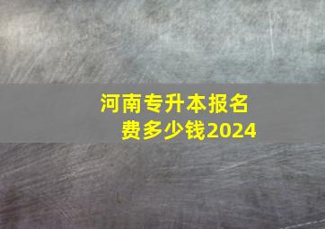 河南专升本报名费多少钱2024