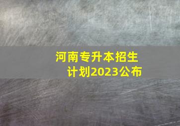 河南专升本招生计划2023公布