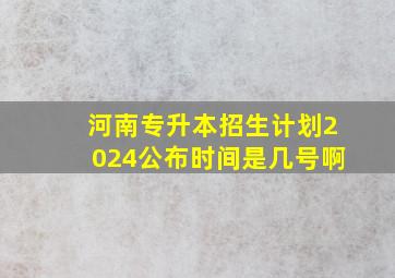 河南专升本招生计划2024公布时间是几号啊