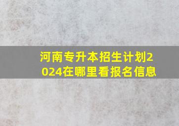 河南专升本招生计划2024在哪里看报名信息