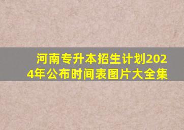 河南专升本招生计划2024年公布时间表图片大全集