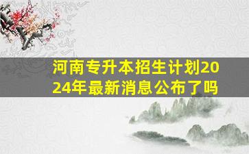 河南专升本招生计划2024年最新消息公布了吗