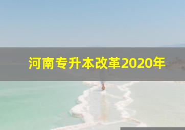 河南专升本改革2020年