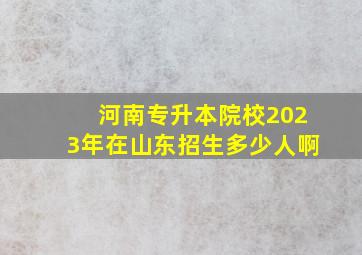 河南专升本院校2023年在山东招生多少人啊