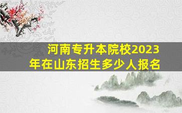 河南专升本院校2023年在山东招生多少人报名