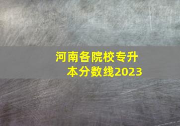 河南各院校专升本分数线2023