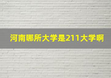 河南哪所大学是211大学啊