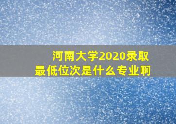 河南大学2020录取最低位次是什么专业啊