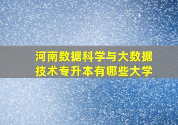 河南数据科学与大数据技术专升本有哪些大学