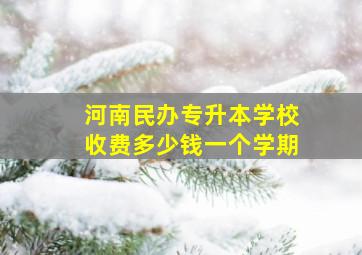 河南民办专升本学校收费多少钱一个学期