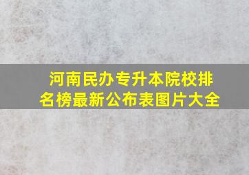 河南民办专升本院校排名榜最新公布表图片大全