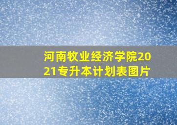 河南牧业经济学院2021专升本计划表图片