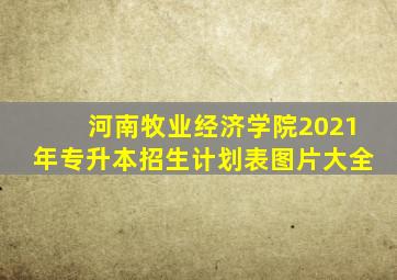 河南牧业经济学院2021年专升本招生计划表图片大全