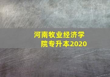 河南牧业经济学院专升本2020