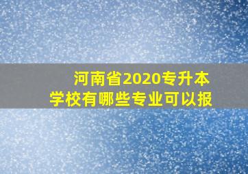 河南省2020专升本学校有哪些专业可以报