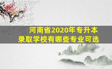 河南省2020年专升本录取学校有哪些专业可选