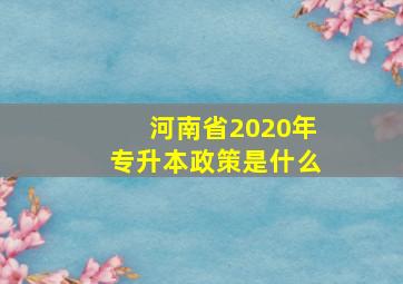 河南省2020年专升本政策是什么