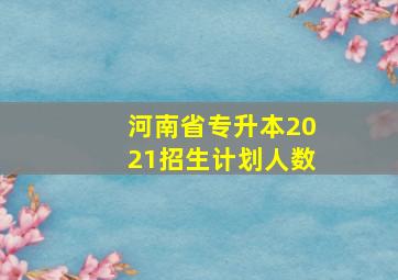 河南省专升本2021招生计划人数